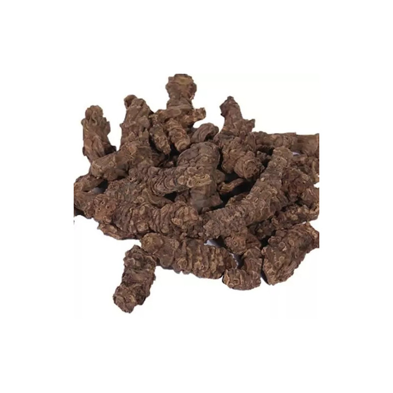 Valerian (Asaroon/Korr) - Natural Stress Relief & Sleep Aid | Hafiz Pansar Valerian (Asaroon/Korr) - Natural Stress Relief & Sleep Aid | Hafiz Pansar