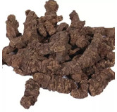 Valerian (Asaroon/Korr)