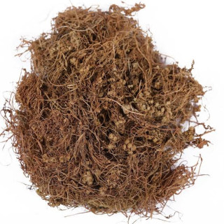 Aftimon(aftimoni)