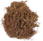 Aftimon(aftimoni)