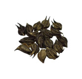 Nettle (Bat Head Root /Bichoo Botti)