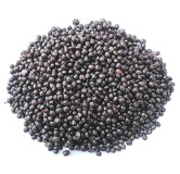 Psophocarpus Seeds (Tukhm e Baqla/Winged Beans)