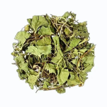 Bacopa Monnieri (Barhami Booti)