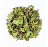 Bacopa Monnieri (Barhami Booti)