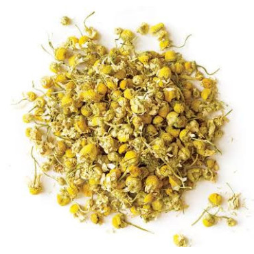 Chamomile (Gul Babona)