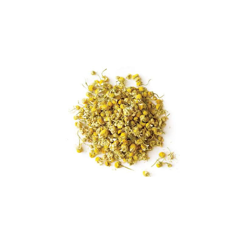 Chamomile (Gul Babona)