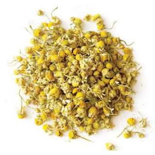 Chamomile (Gul Babona)