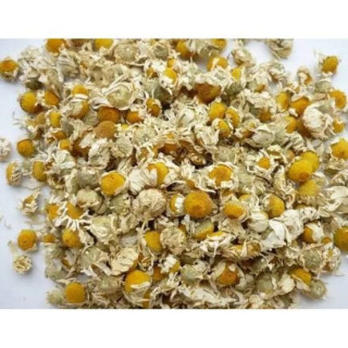 Chamomile (Gul Babona)