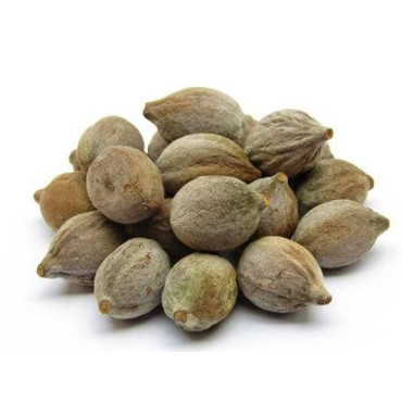 Terminalia Bellirica (Bahera)