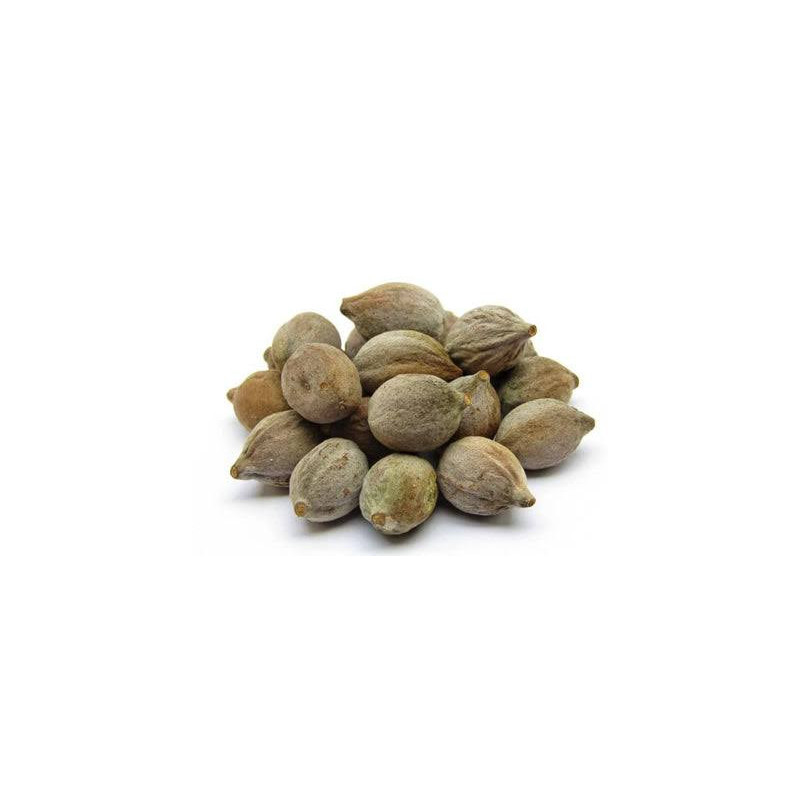 Terminalia Bellirica (Bahera)