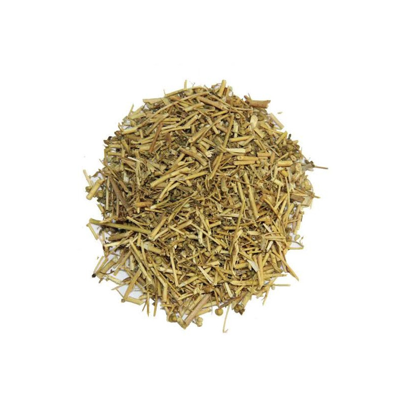 Garden Rue (Ruta Graveolens/Barg e Sudaab)