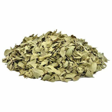 Henna Leaves (Barg e Mehndi)