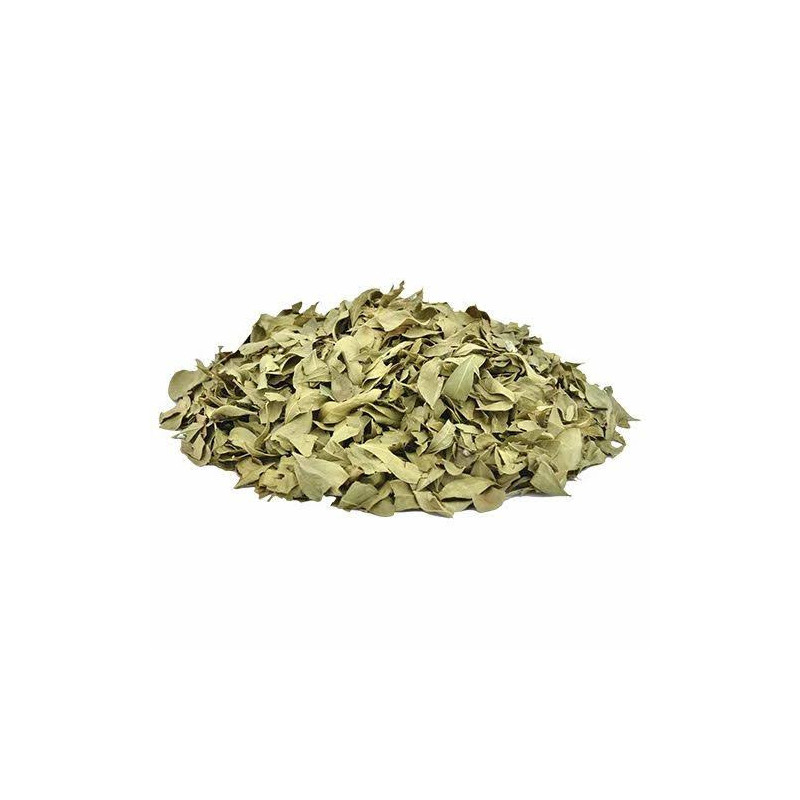 Henna Leaves (Barg e Mehndi)