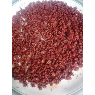Red Velvet Mite (Beer Boti)