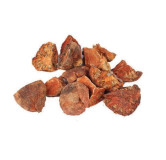 Bael Fruit (Bel Giri)