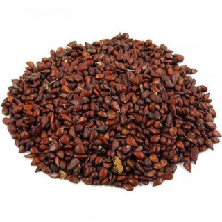 Quince Seeds (Bee Dana)