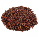 Quince Seeds (Bee Dana)