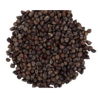 Rumex Seed (Beejband)