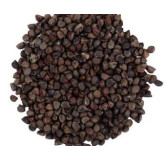 Rumex Seed (Beejband)