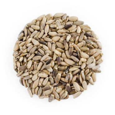 Milk Thistle Seed (Onth Khatara)