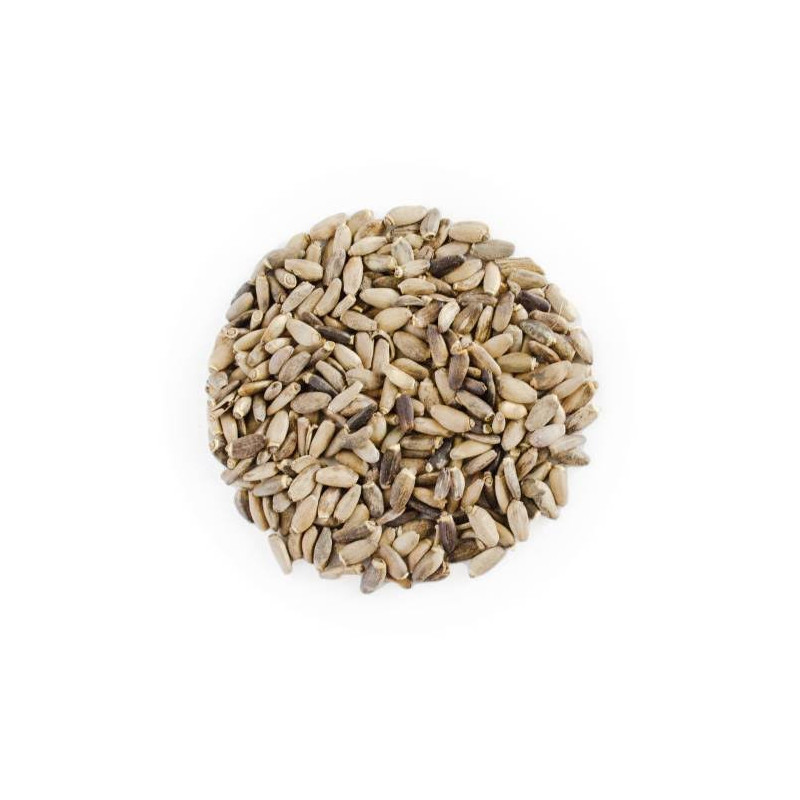Milk Thistle Seed (Onth Khatara)