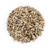 Milk Thistle Seed (Onth Khatara)