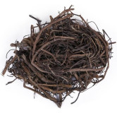 Banyan (Borh Darhi/Ficus Benghalensis)