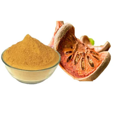 Bael Fruit - Bael Giri (Aegle Marmelos / Golden Apple)