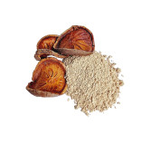 Bael Fruit - Bael Giri (Aegle Marmelos / Golden Apple)