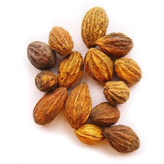 Hareer (Terminalia Chebula)