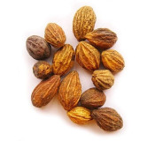 Hareer (Terminalia Chebula)