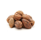 Hareer (Terminalia Chebula)