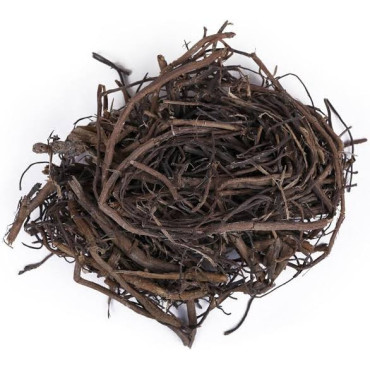 Banyan (Borh Darhi/Ficus Benghalensis)