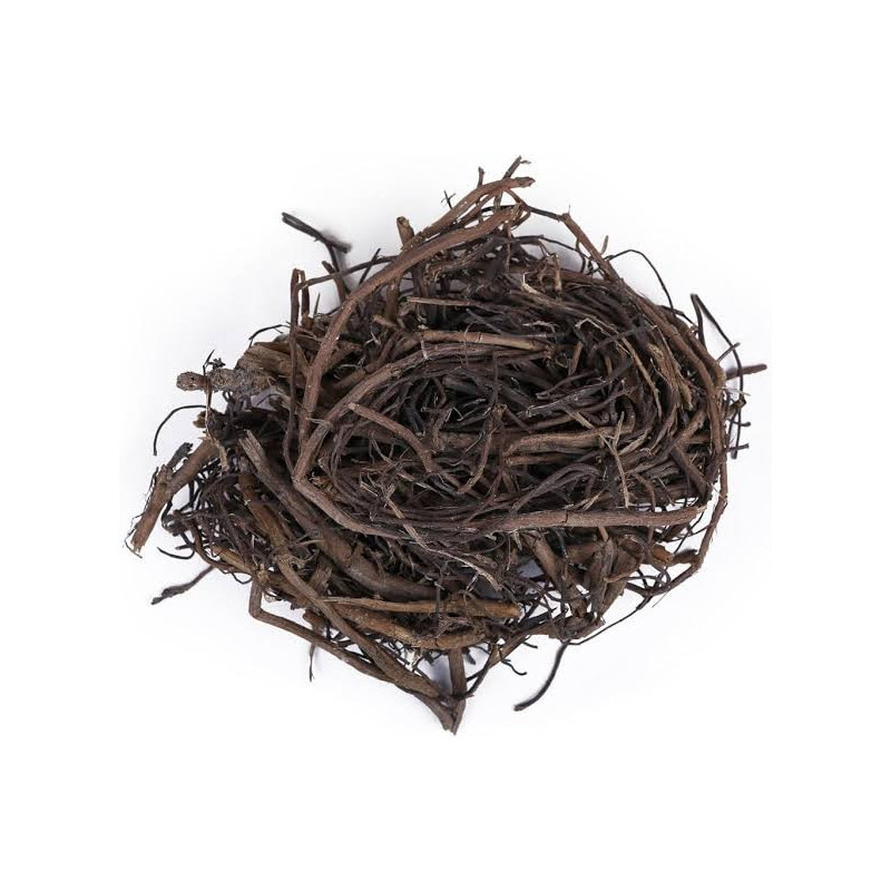 Banyan (Borh Darhi/Ficus Benghalensis)