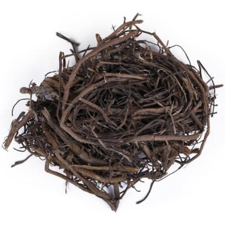 Banyan (Borh Darhi/Ficus Benghalensis)
