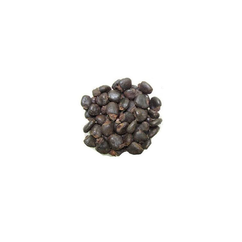 Semecarpus Anacardium Seeds (Bhalaveeh)