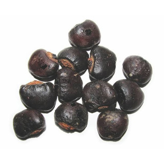 Semecarpus Anacardium Seeds (Bhalaveeh)
