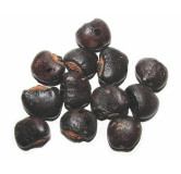 Semecarpus Anacardium Seeds (Bhalaveeh)