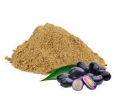 Jamun Seeds Powder (جامن کا سفوف)