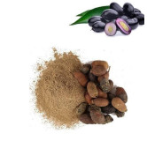 Jamun Seeds Powder (جامن کا سفوف)