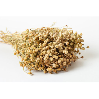 Hermal Seeds (Tukhm e Harmal) | حرمل