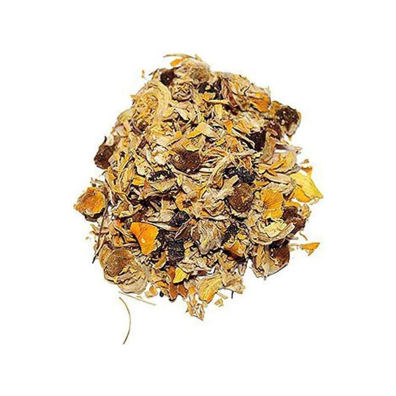 Butea Monosprma(Gul Kesu)