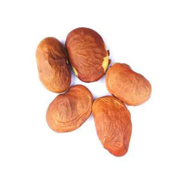 Butea (Palas Pappra)
