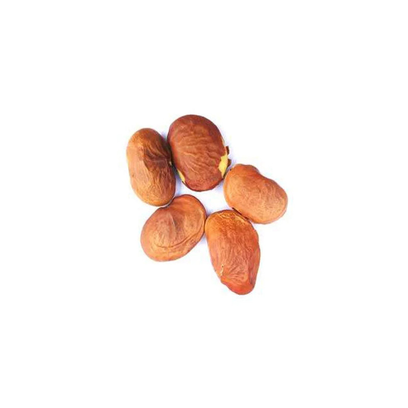 Butea (Palas Pappra)