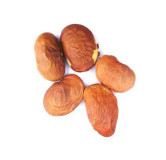 Butea (Palas Pappra)