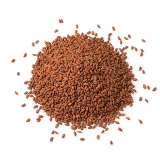 Halim Seeds (Garden Cress Seeds)