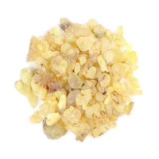 Gond Kundar (Indian Frankincense Gum) | گوند کندر