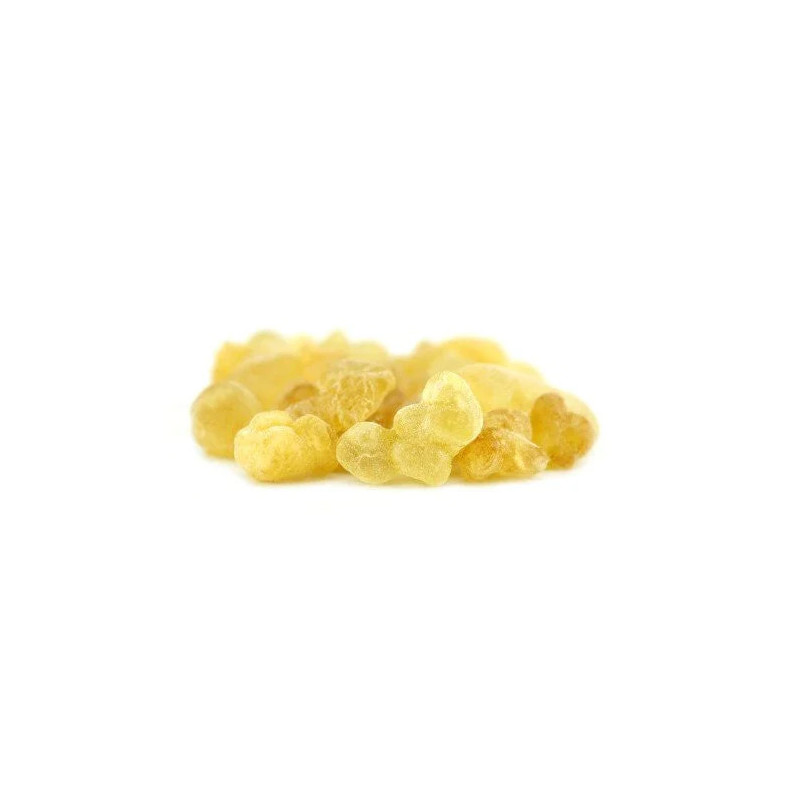 Gond Kundar (Indian Frankincense Gum) | گوند کندر