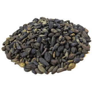Kali Hareer (Terminalia Chebula)