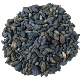 Kali Hareer (Terminalia Chebula)